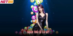 Bạch Thủ Lô Là Gì? Chuẩn Xác Một Con, Chốt Vàng Một Nhịp