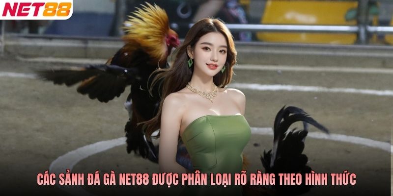 Các sảnh đá gà NET88 được phân loại rõ ràng theo hình thức