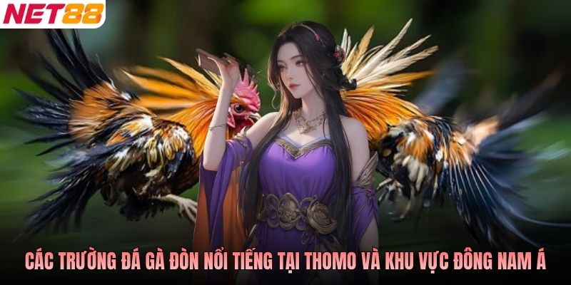 Các trường đá gà đòn nổi tiếng tại Thomo và khu vực Đông Nam Á