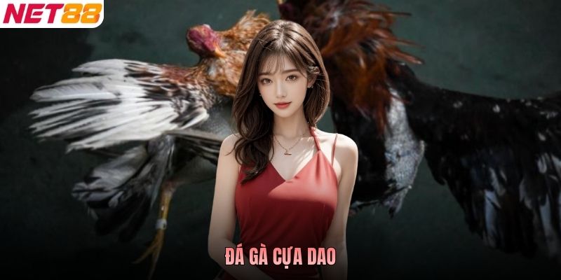 Đá Gà Cựa Dao - Luật Và Cách Nhận Diện Chiến Tướng Mạnh