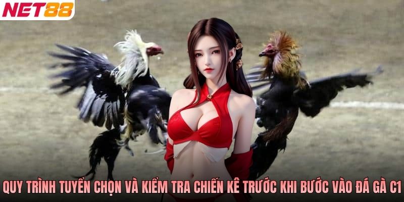 Quy trình tuyển chọn và kiểm tra chiến kê trước khi bước vào đá gà C1