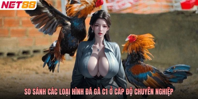 So sánh các loại hình đá gà C1 ở cấp độ chuyên nghiệp